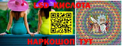 ALPHA PVP Камышлов
