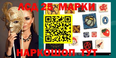 крисы Апшеронск