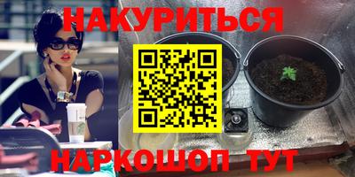 крисы Апшеронск