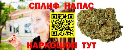 Альфа ПВП Кимры
