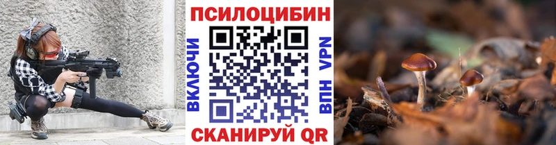 Галлюциногенные грибы мухоморы  Чернушка 