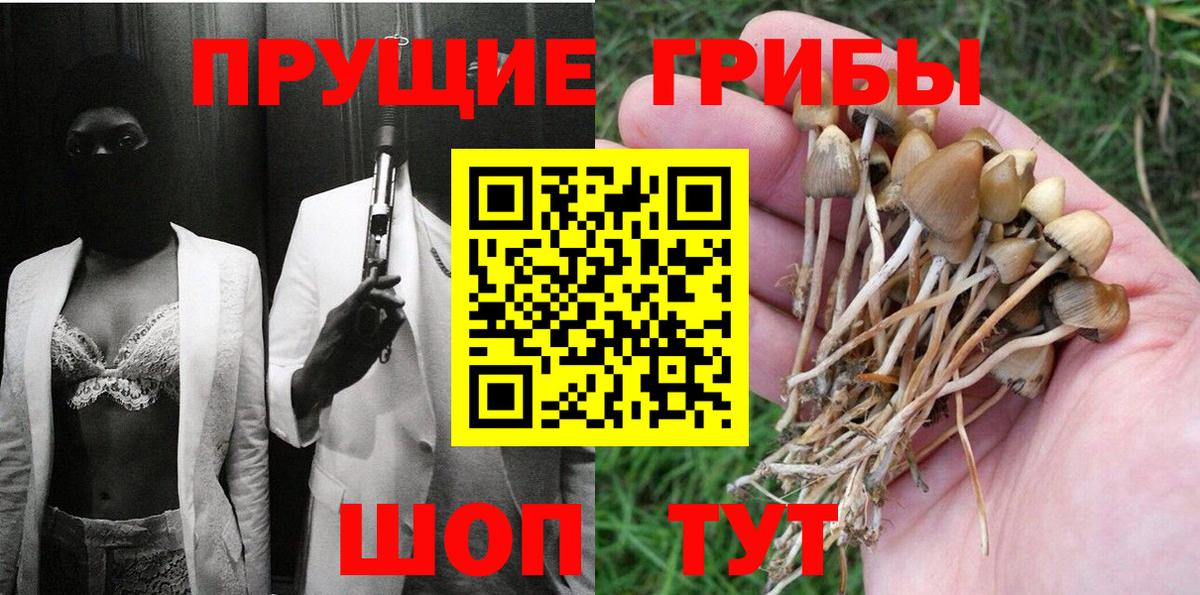 Псилоцибиновые грибы Magic Shrooms Чернушка
