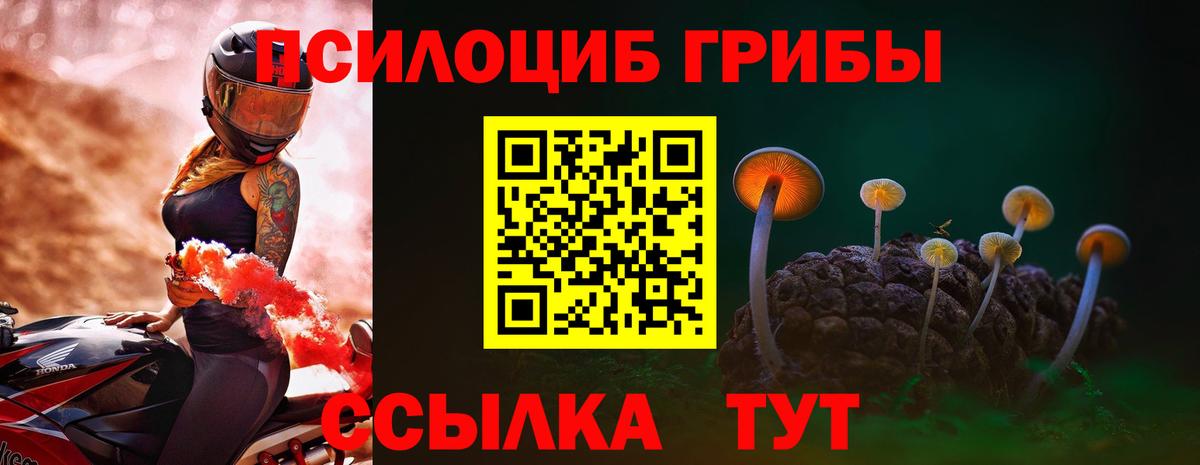 Псилоцибиновые грибы прущие грибы  Вход с VPN  Галлюциногенные грибы мицелий  купить наркотик  Чернушка 