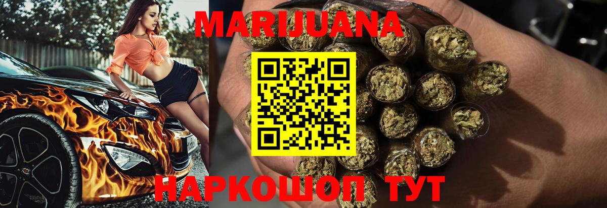 МАРИХУАНА план Чернушка